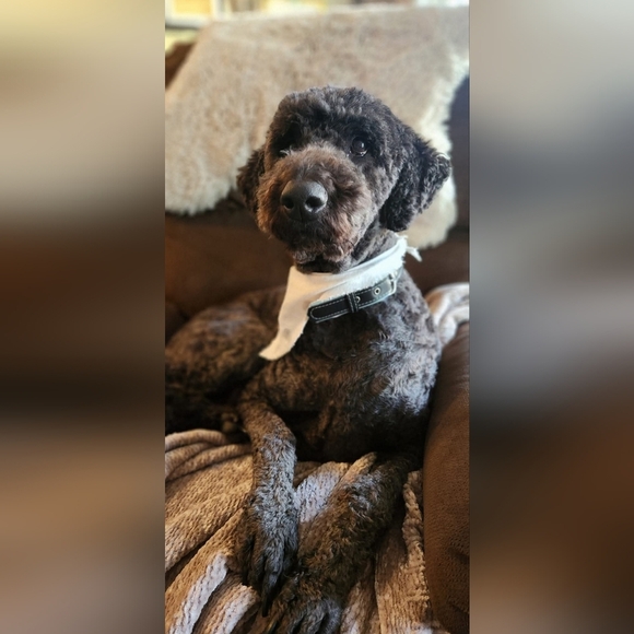 Like This Post To Be Notified When I Go Live - Picture 12 of 16